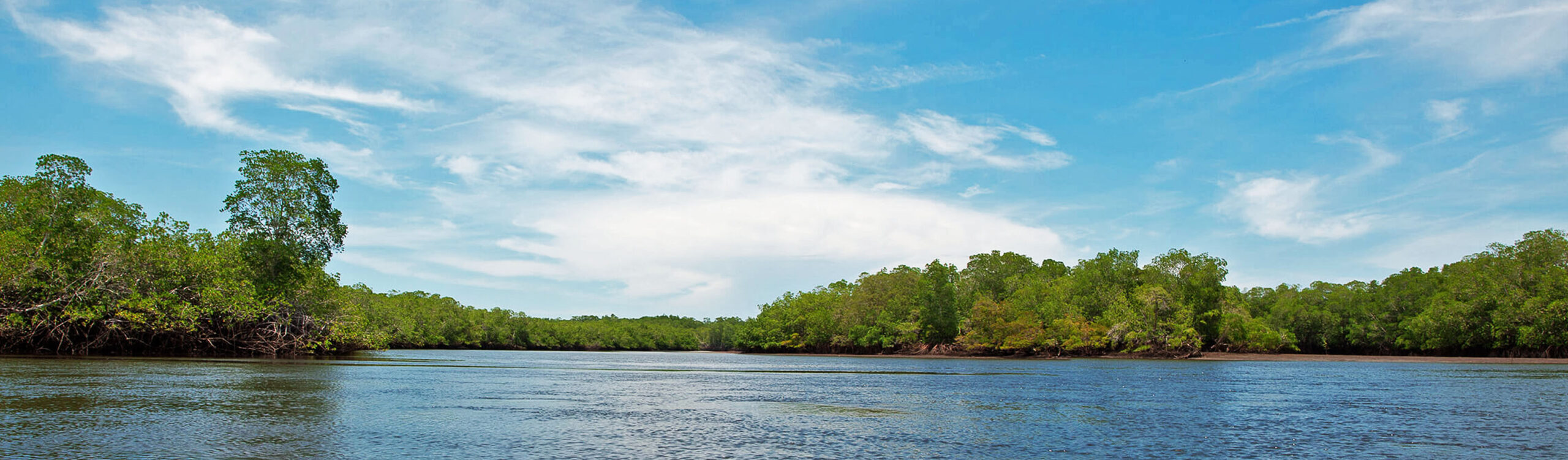 Bahia_de_Jiquilisco_ElSalvador_Turismo_ComplicesenAntura