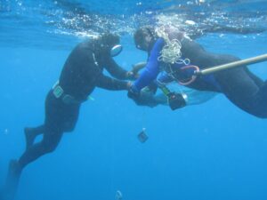 Buceo, Isla de Pascua (Fuente | Visit Chile)